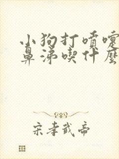 小狗打喷嚏流黄鼻涕吃什么药