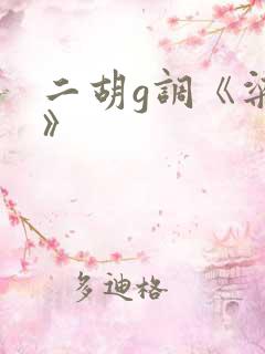 二胡g调《梁祝》