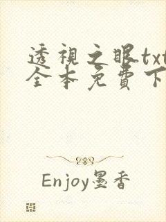 透视之眼txt全本免费下载