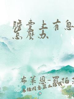 胆囊上有息肉要怎么办