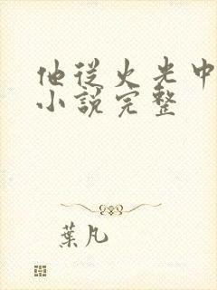 他从火光中走来小说完整