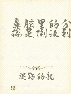 鼻腔里的分泌物总是倒流到咽喉里