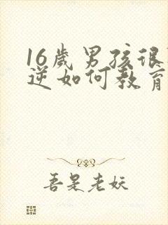 16岁男孩很叛逆如何教育