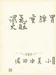 湿气重脾胃虚心火旺