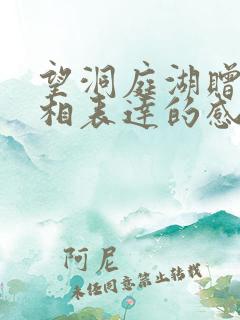 望洞庭湖赠张丞相表达的感情