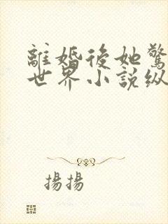 离婚后她惊艳了世界小说纵横免费