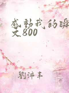 感动我的瞬间作文800