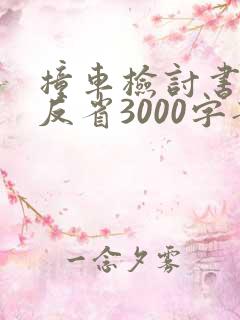 撞车检讨书自我反省3000字部队