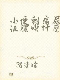 小便刺痛尿道口流脓吃什么药