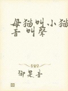 母猫叫小猫的声音 叫声