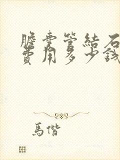 胆囊管结石手术费用多少钱