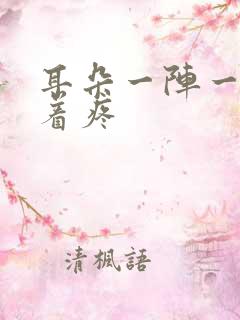 耳朵一阵一阵抽着疼