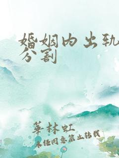 婚姻内出轨财产分割