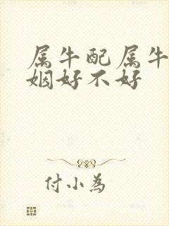 属牛配属牛的婚姻好不好