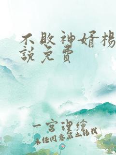 不败神婿杨辰小说免费