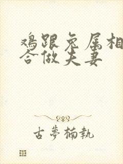 鸡跟兔属相合不合做夫妻