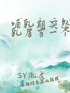 哺乳期突然发现乳房有一个硬疙瘩