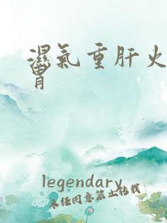 湿气重肝火旺脾胃