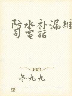 防水补漏维修公司电话