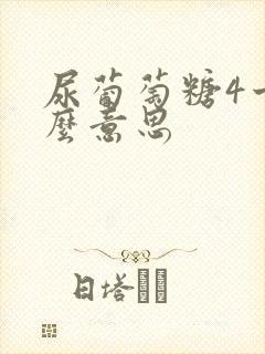 尿葡萄糖4十什么意思