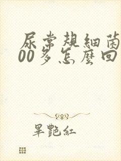 尿常规细菌高200多怎么回事