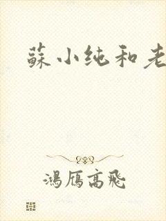 苏小纯和老苏