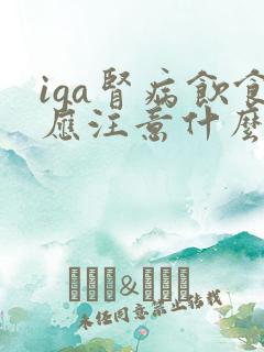 iga肾病饮食应注意什么