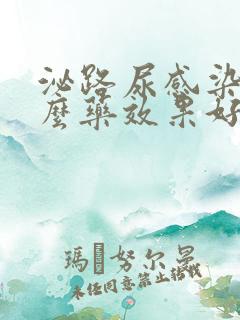 泌路尿感染吃什么药效果好