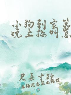 小狗到家第一天晚上总叫怎么办