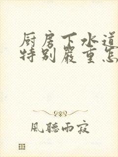 厨房下水道反味特别严重怎么办