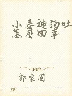 小泰迪狗吐黄水怎么回事