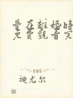 爱在离婚时短剧免费观看完整版