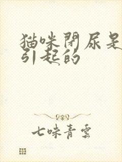 猫咪闭尿是怎么引起的