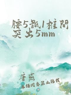腰5骶1椎间盘突出5mm