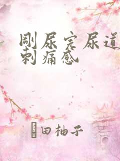 刚尿完尿道口有刺痛感