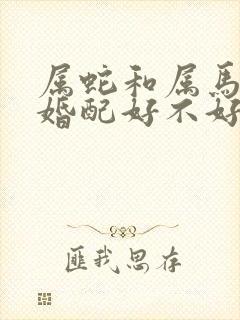 属蛇和属马女的婚配好不好