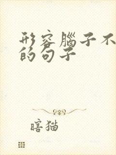 形容脑子不好使的句子