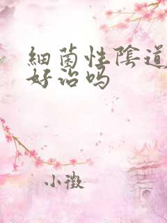 细菌性阴道发炎好治吗