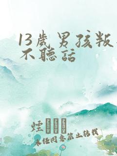 13岁男孩叛逆不听话