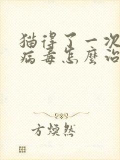 猫得了一次猫瘟病毒怎么治疗