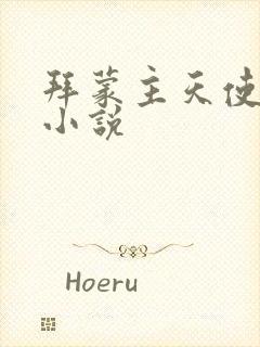 拜蒙主天使魔王小说