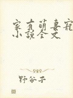 家有萌妻宠上天小说全文