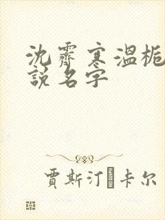 沈霁寒温栀妍小说名字