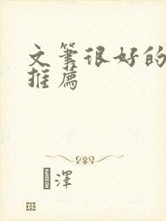 文笔很好的小说推荐