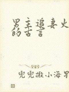 男主追妻火葬场的古言