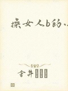 操女人b的小说