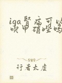 iga肾病可以吃甲硝唑吗