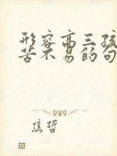 形容高三孩子辛苦不易的句子