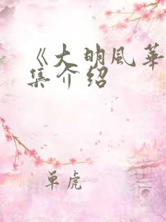 《大明风华》剧集介绍