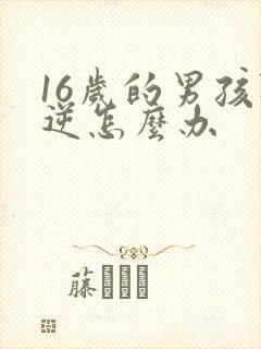 16岁的男孩叛逆怎么办